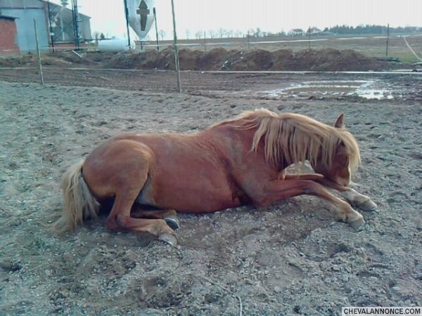 Photo de profil de xkoskaa67