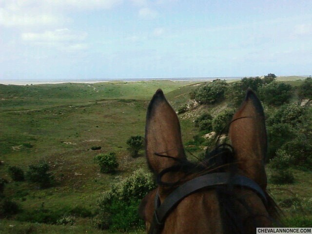 Photo de profil de emmanuellle