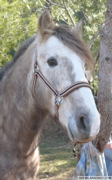 Photo de profil de elise13