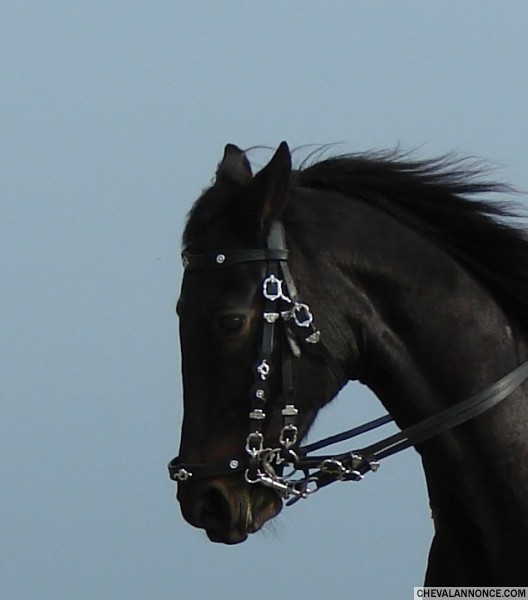 Photo de profil de valroci1990