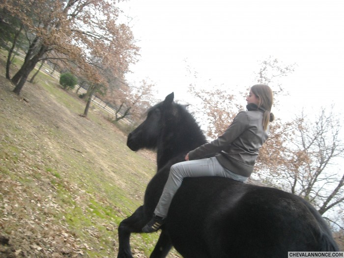 Photo de profil de leoniex66