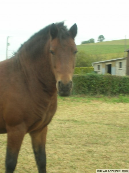 Photo de profil de drago