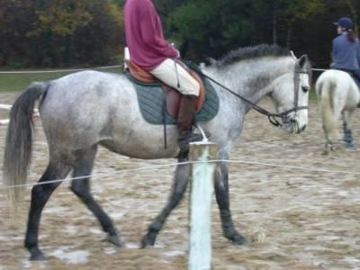 Photo de profil de la_fanny