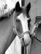 Photo de profil de lauraao