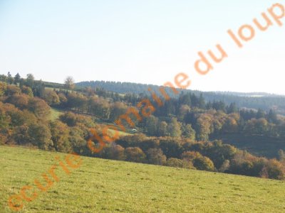 Photo de profil de ledomaineduloup