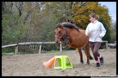 Photo de profil de powps