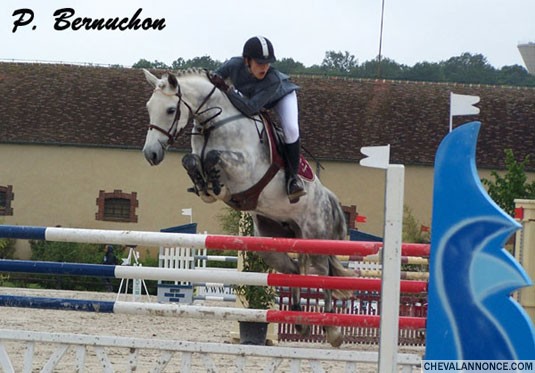 Photo de profil de lariskau