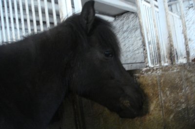 Photo de profil de lila57270