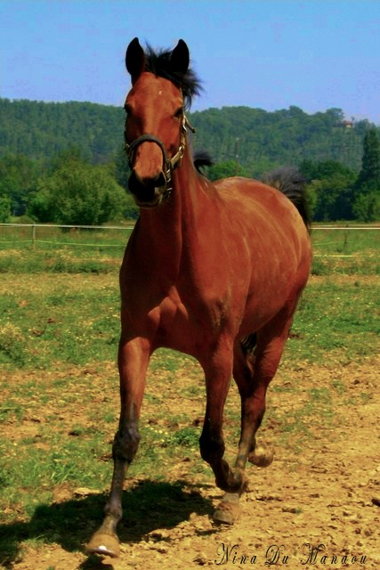 Photo de profil de lisaa