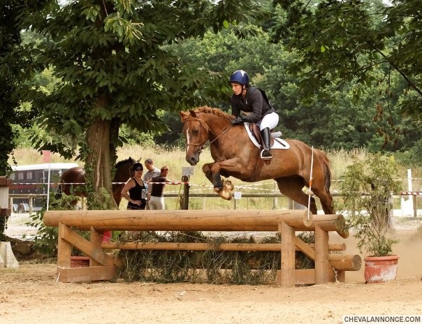 Photo de profil de horpheearmor