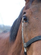Photo de profil de loove-yoou