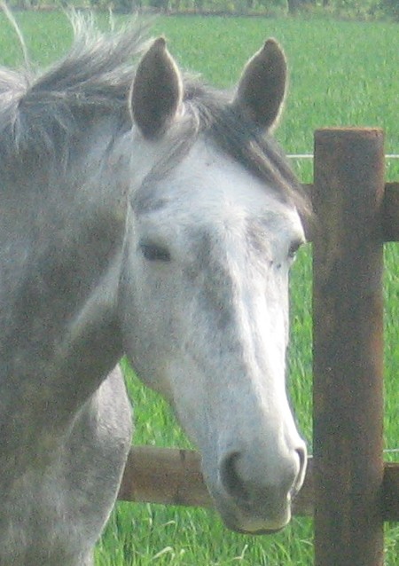 Photo de profil de louxordu59