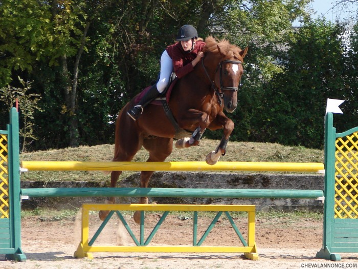 Photo de profil de ninou03