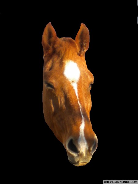 Photo de profil de minimain
