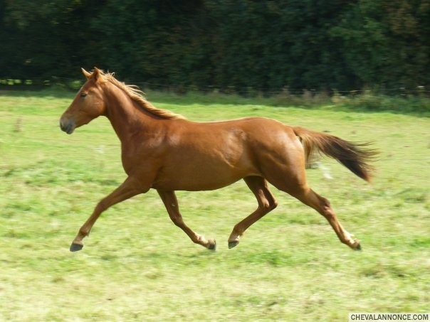 Photo de profil de carodu29