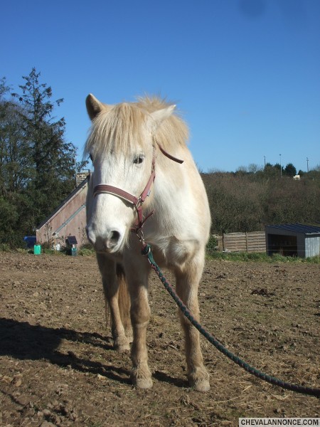 Photo de profil de mariemariem