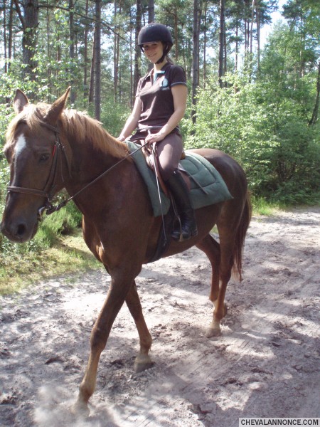 Photo de profil de aude78