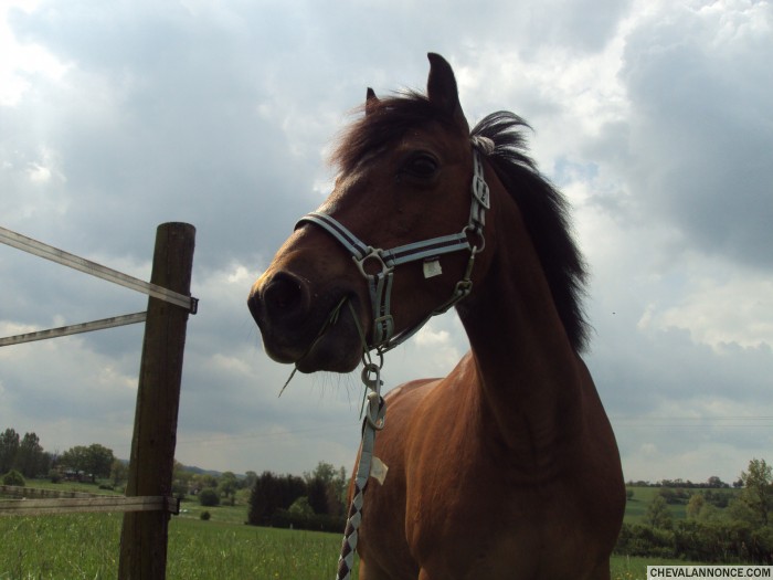 Photo de profil de casimiretiron