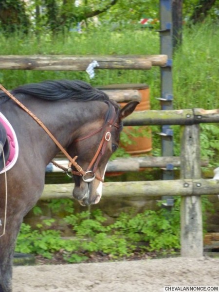 Photo de profil de lilinette