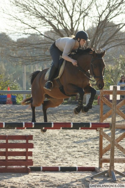 Photo de profil de misterstep