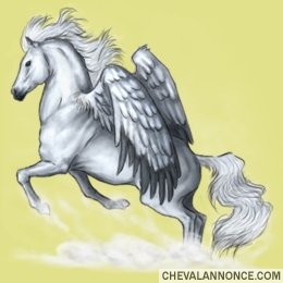 Photo de profil de cedric453