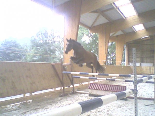 Photo de profil de maeva-quick