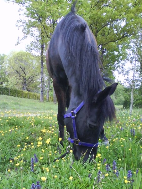 Photo de profil de maevaa64