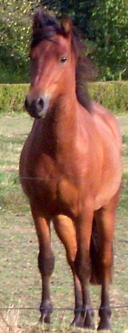 Photo de profil de man0n