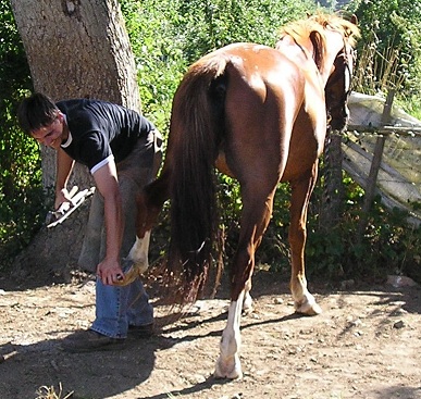Photo de profil de marechalerie49