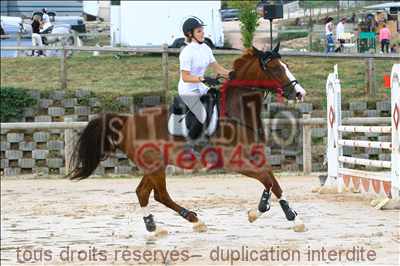 Photo de profil de marion074