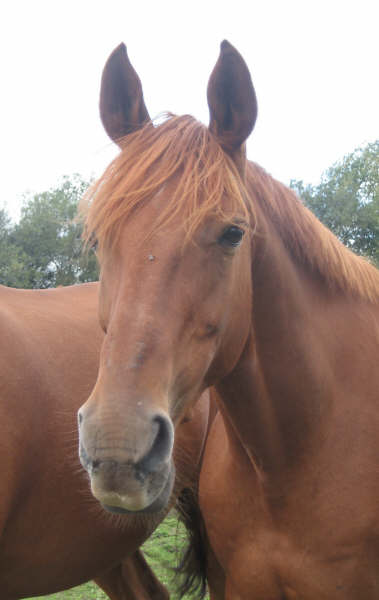 Photo de profil de marloote