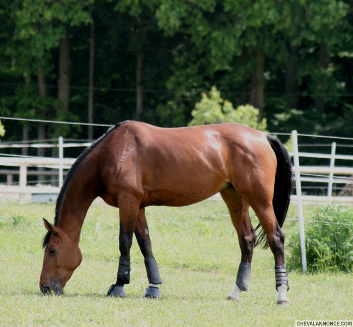 Photo de profil de darkco