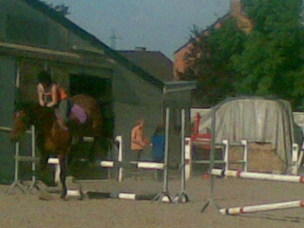 Photo de profil de melanie-cheval