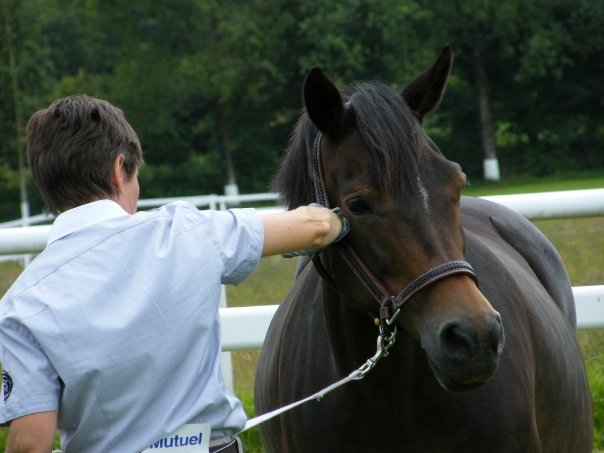 Photo de profil de mendy56
