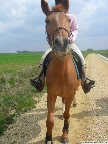 Photo de profil de allissone