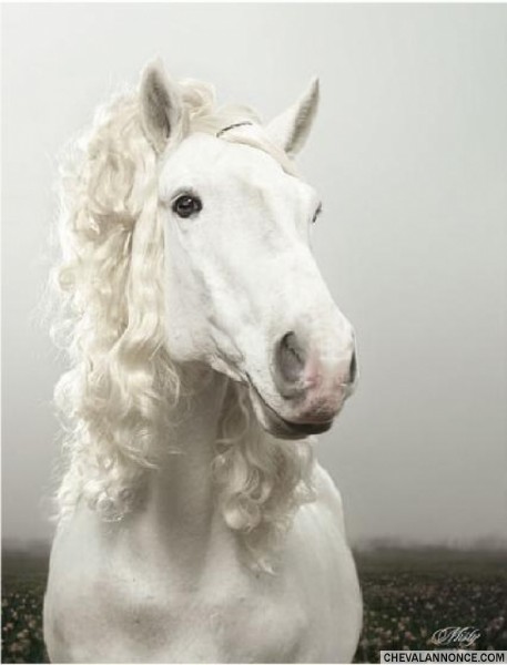 Photo de profil de new_soul