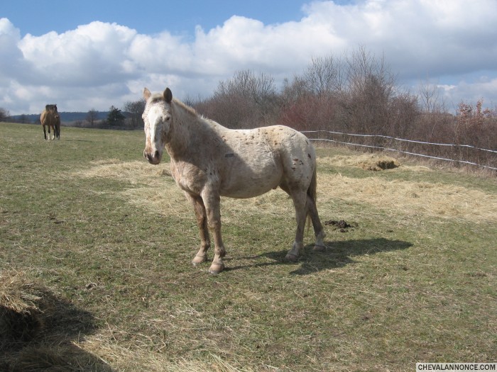 Photo de profil de juliejivago