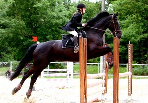 Photo de profil de miistouflette