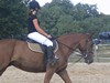 Photo de profil de mistouflette
