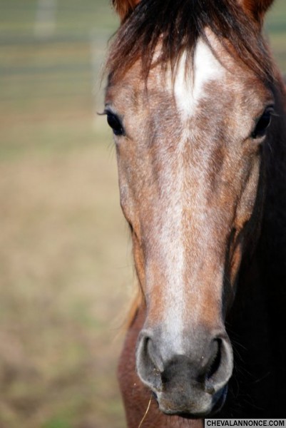 Photo de profil de villeneuvecurie