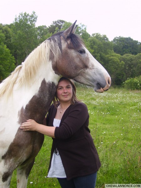 Photo de profil de nb56