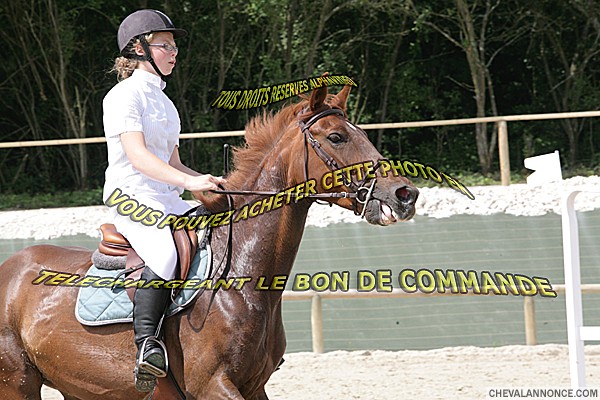 Photo de profil de loncke2010
