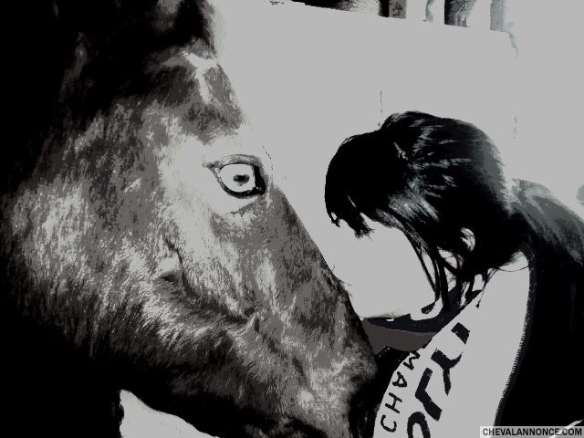 Photo de profil de miissalexiia