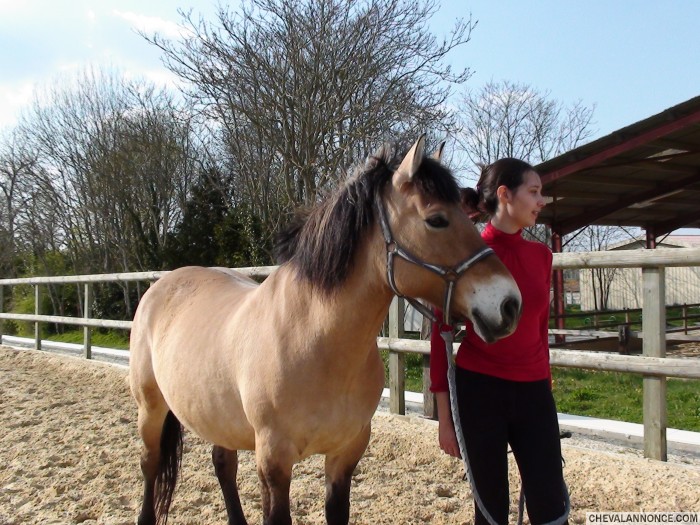 Photo de profil de clema22