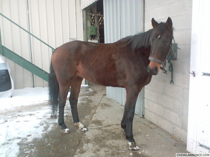 Photo de profil de pileso