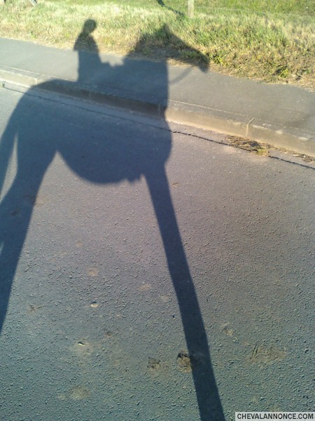 Photo de profil de startruk