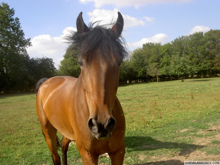 Photo de profil de tesso