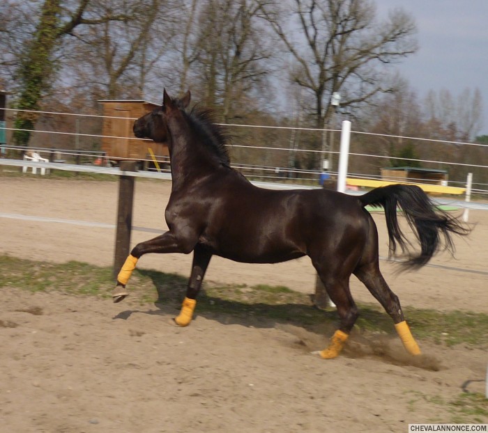 Photo de profil de sendra33500