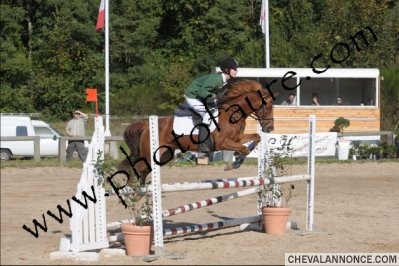 Photo de profil de cloutch