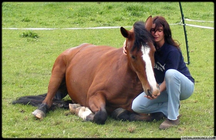 Photo de profil de equifeel37